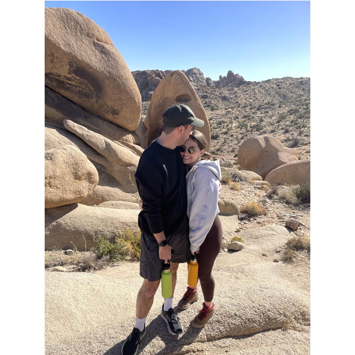 Joshua Tree 2023