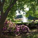 Fellows Riverside Gardens