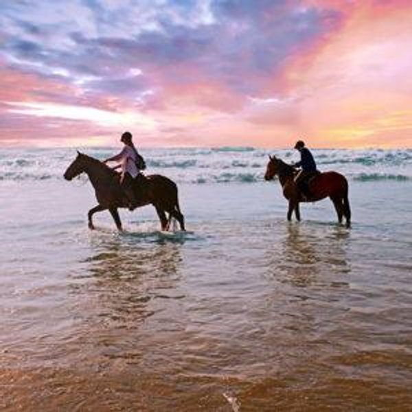 Horseback Beach Ride