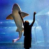 Oklahoma Aquarium