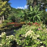 Cruzan Gardens