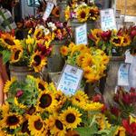 Boulder Farmer's Market