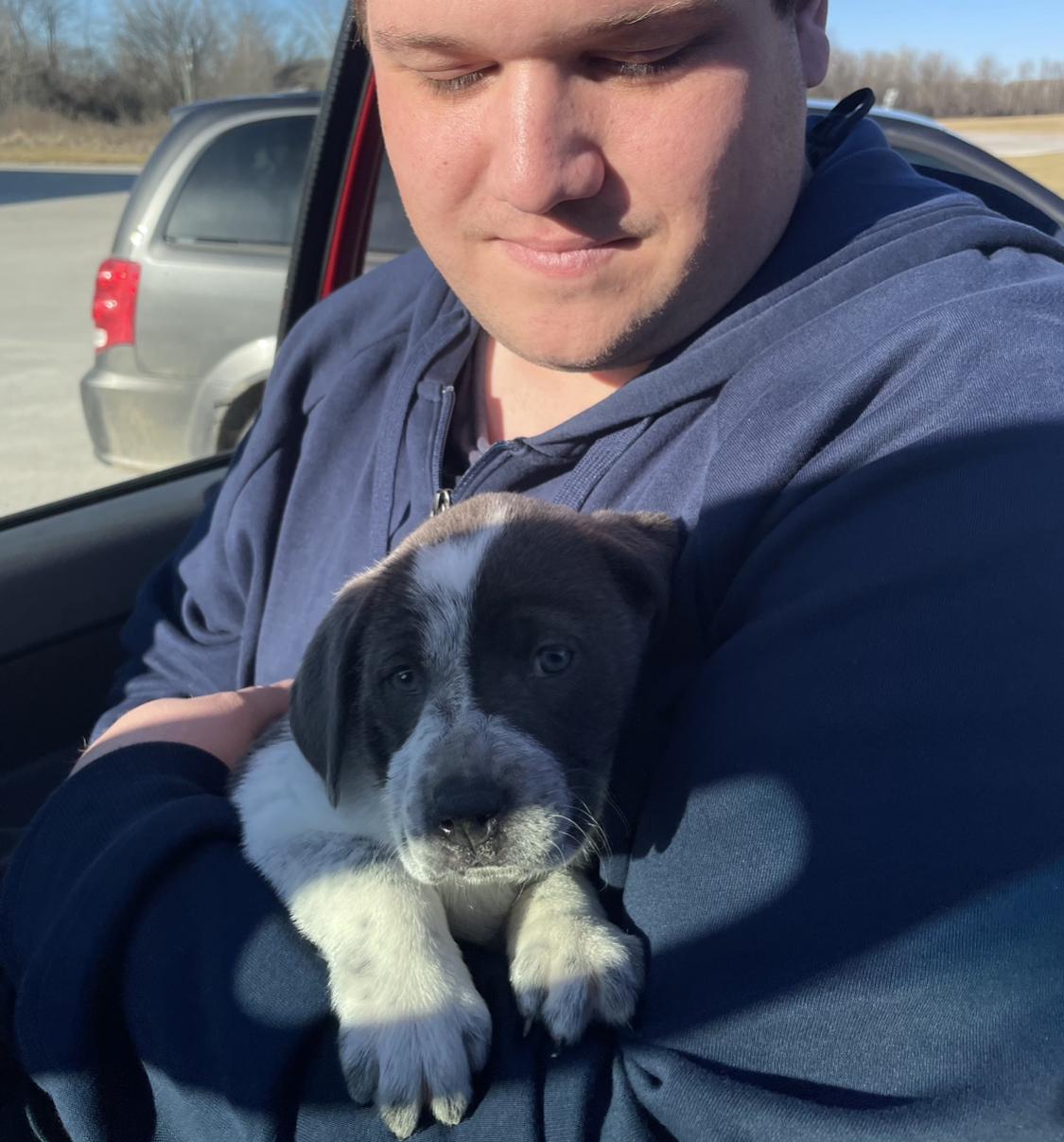 The day we got our Jessi girl ❤️