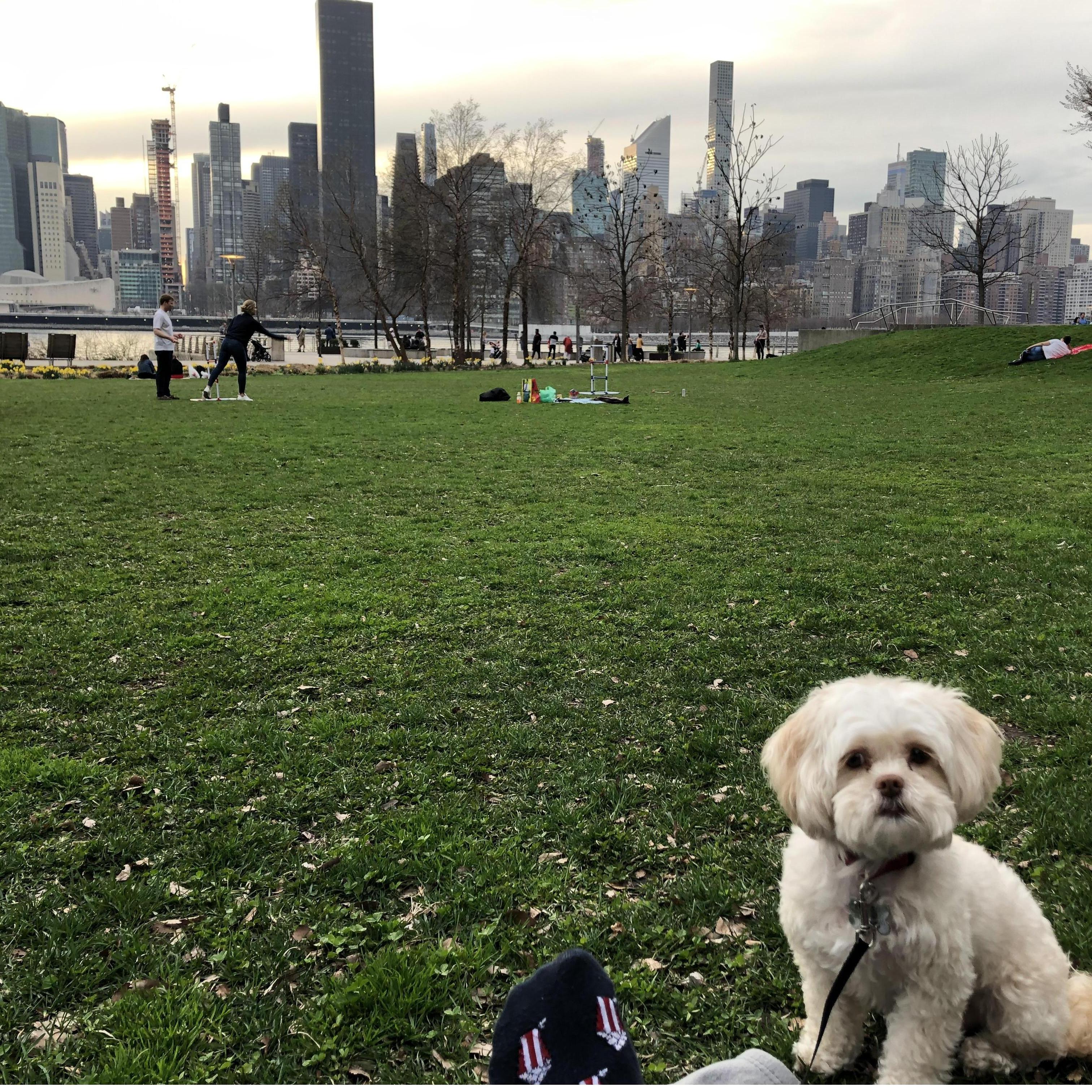 Sydney crushing it in the big city!