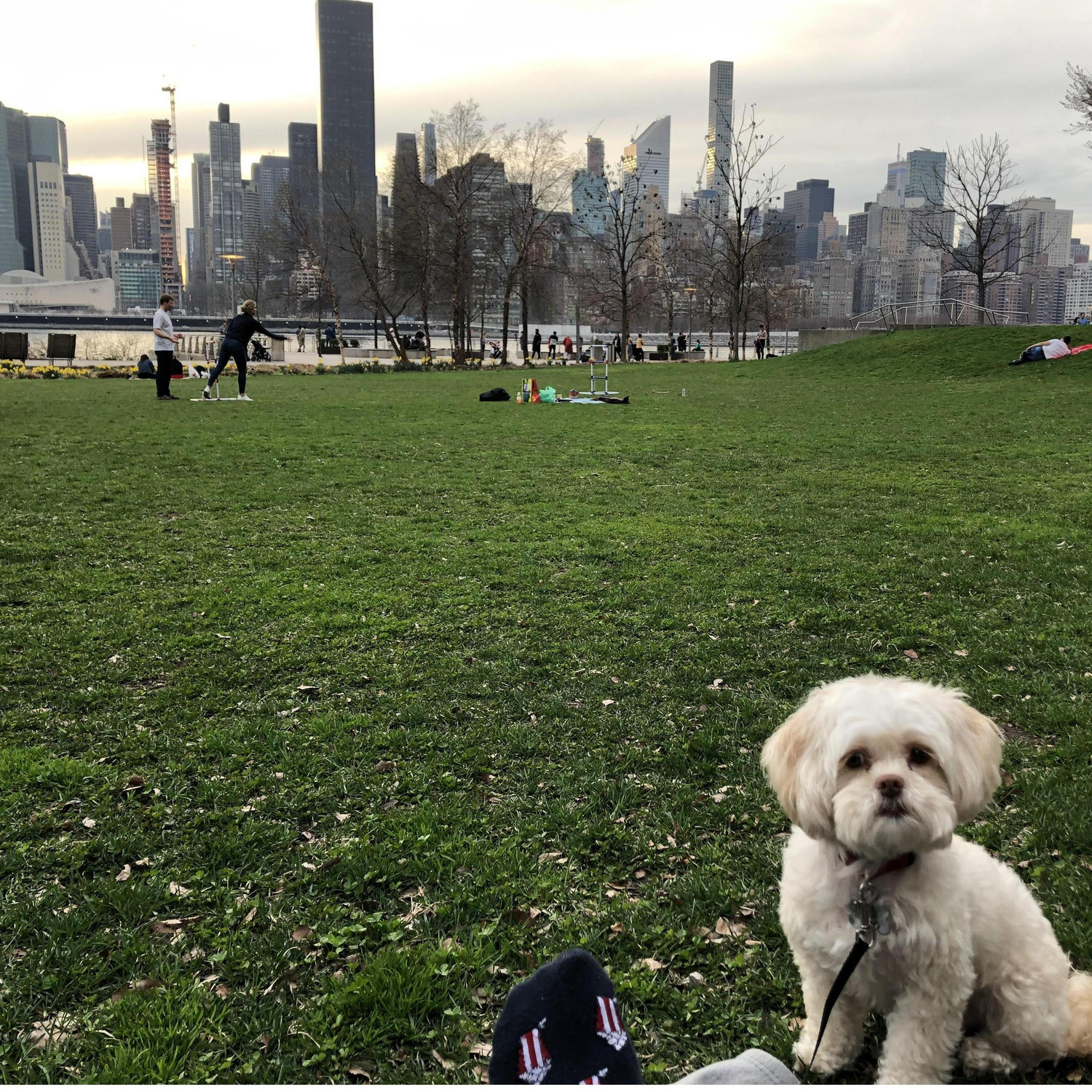 Sydney crushing it in the big city!