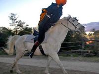 Legend of Sleepy Hollow Haunted Hayride