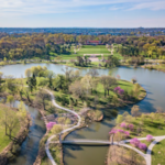 Forest Park
