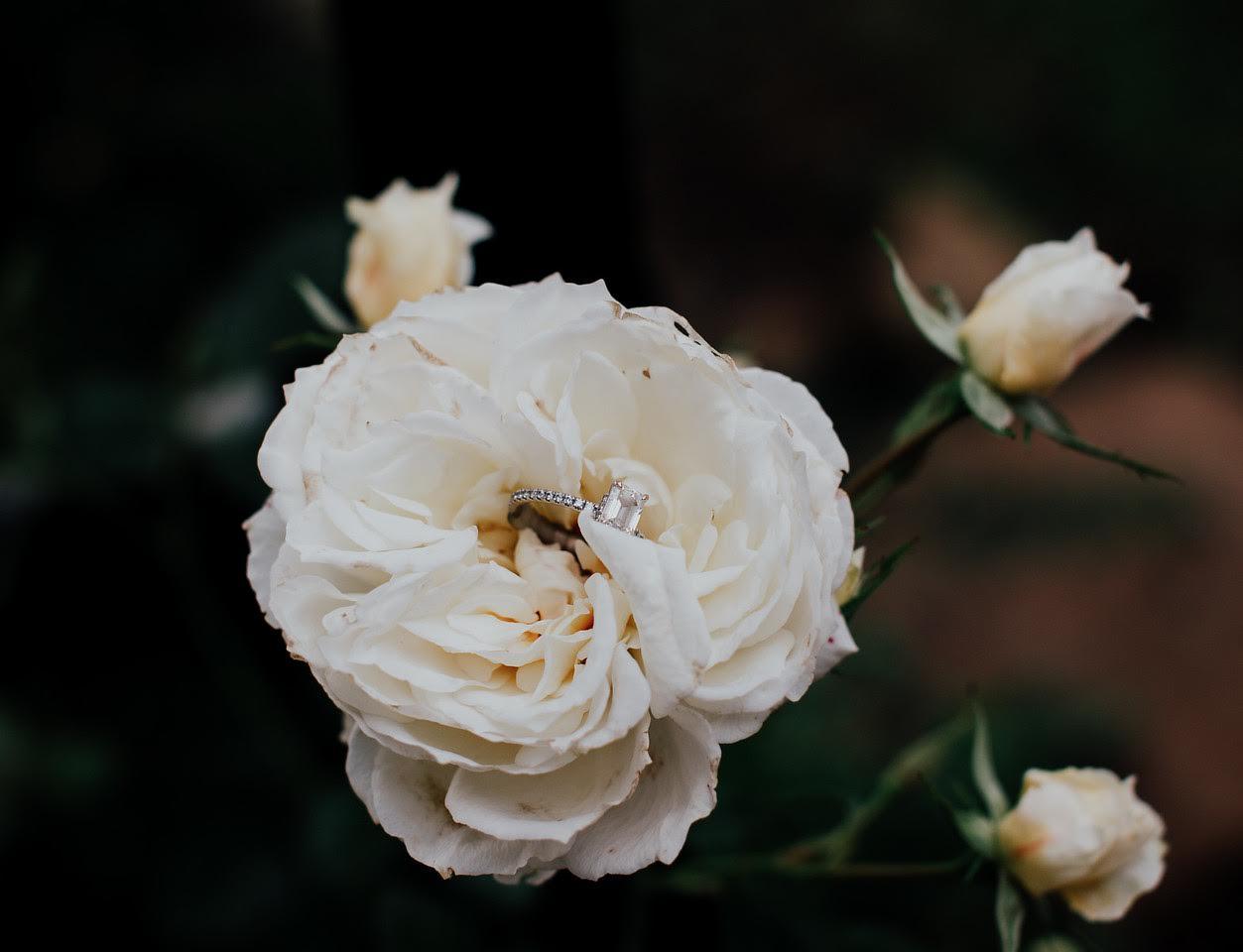 The Wedding Website of Ally Nicole Castro and Daniel Patrick Simon