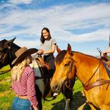 Horseback Riding