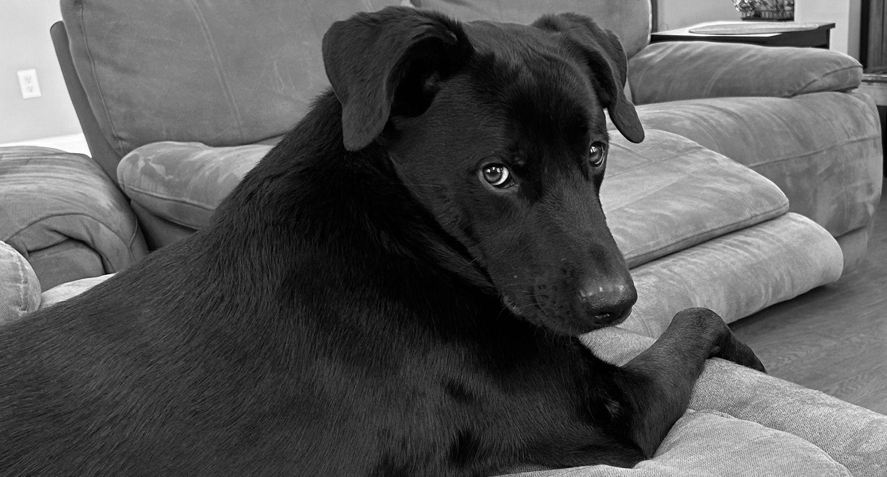 The Wedding Website of Cory Bond and Danielle DiCicco