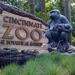 Cincinnati Zoo & Botanical Garden