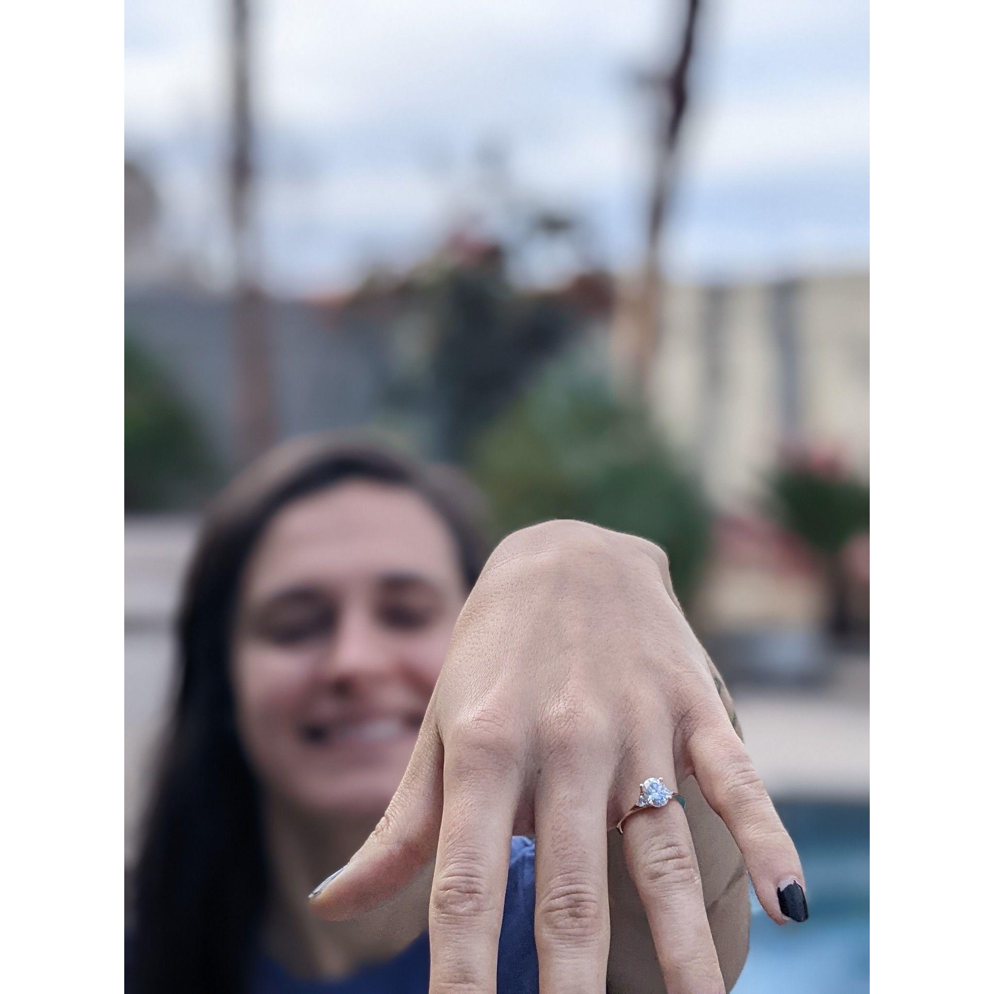 The day after the engagement! Still pleasantly shocked.