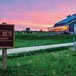 Bailey's Run Vineyard