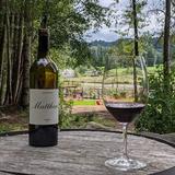 Matthews Winery