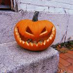 New England Curiosities