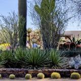 Gardens & Museums