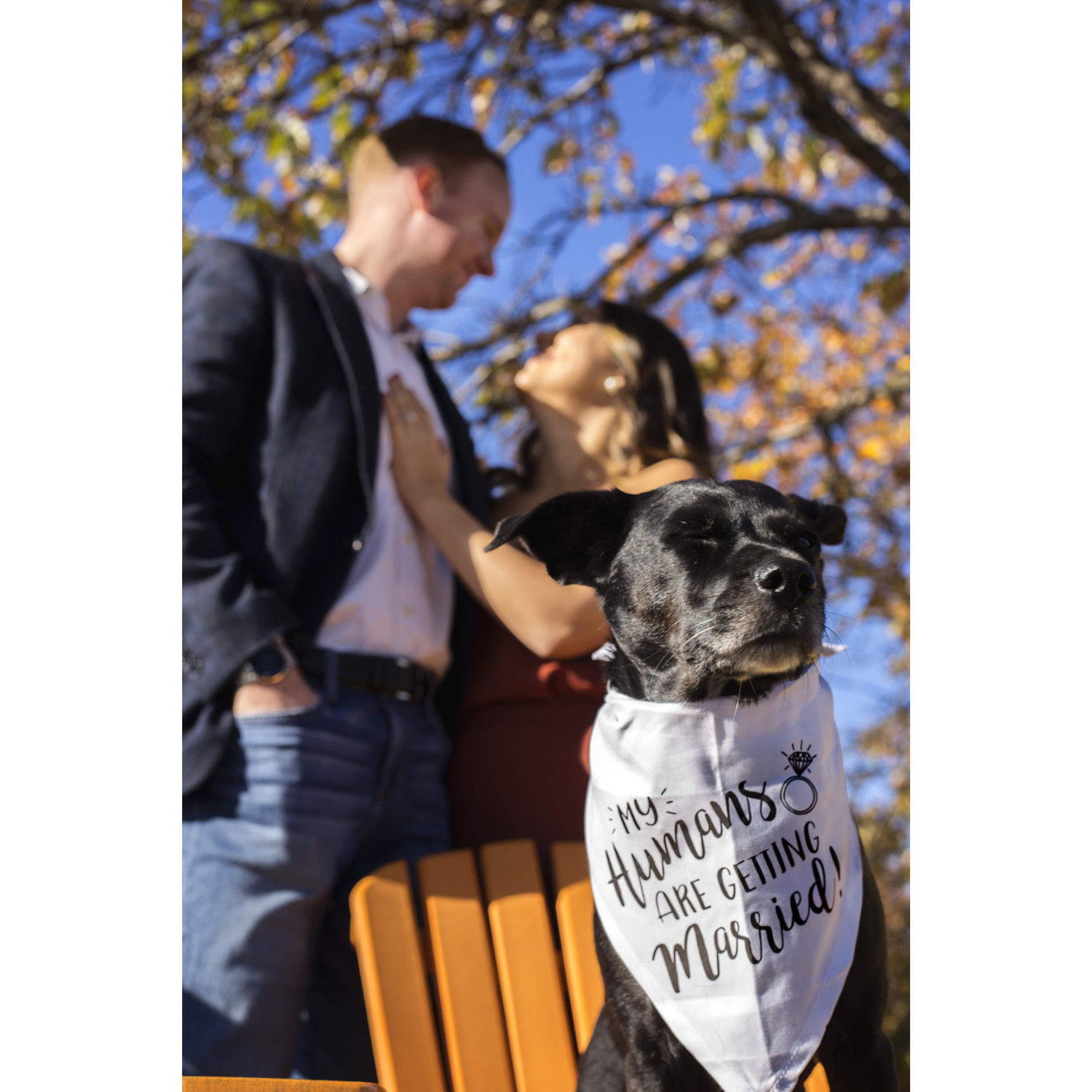 "My humans are getting married!" - Lily P. Ashley