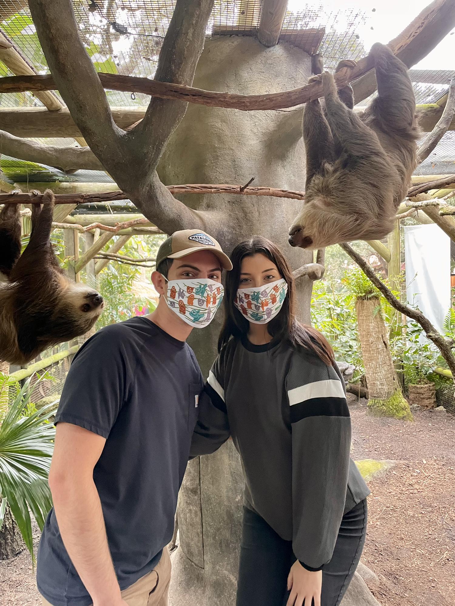 Sloth Sanctuary in St Augustine.