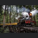 Roaring Camp