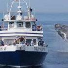 Hyannis Whale Watcher Cruises