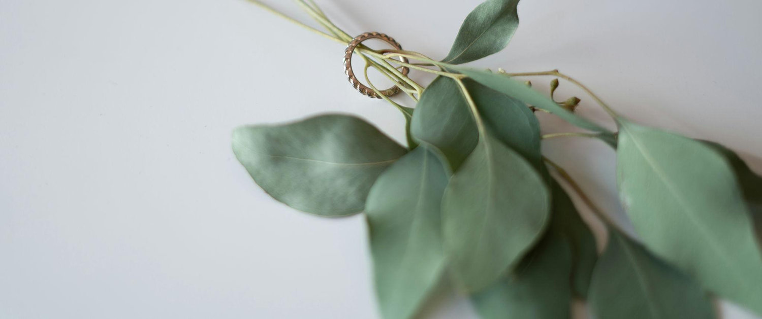The Wedding Website of XAVIER PEREZ and ABIGAIL PARKS