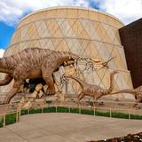 The Children's Museum of Indianapolis