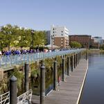 The Wilmington River Walk