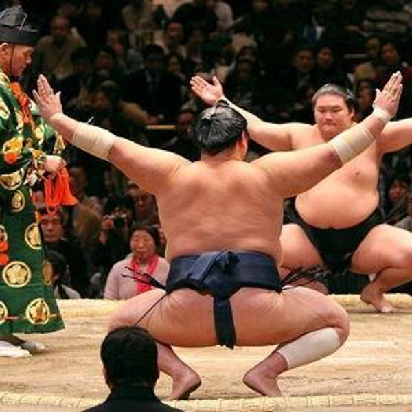 See a Sumo Wrestling Match!