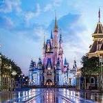 Disney World, Orlando FL