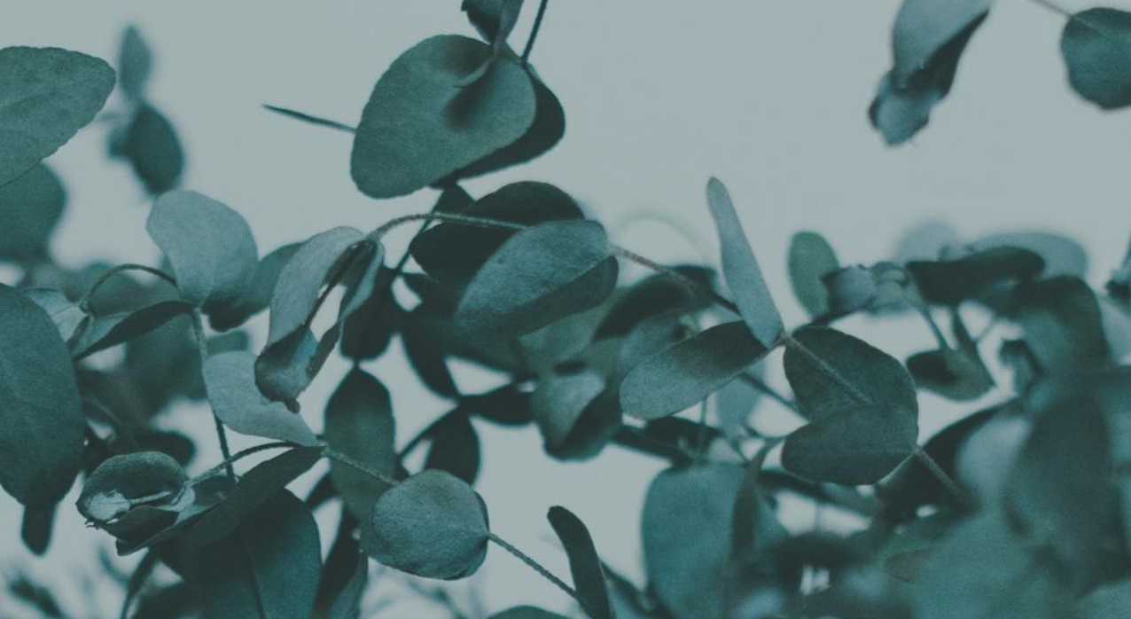 Footer image