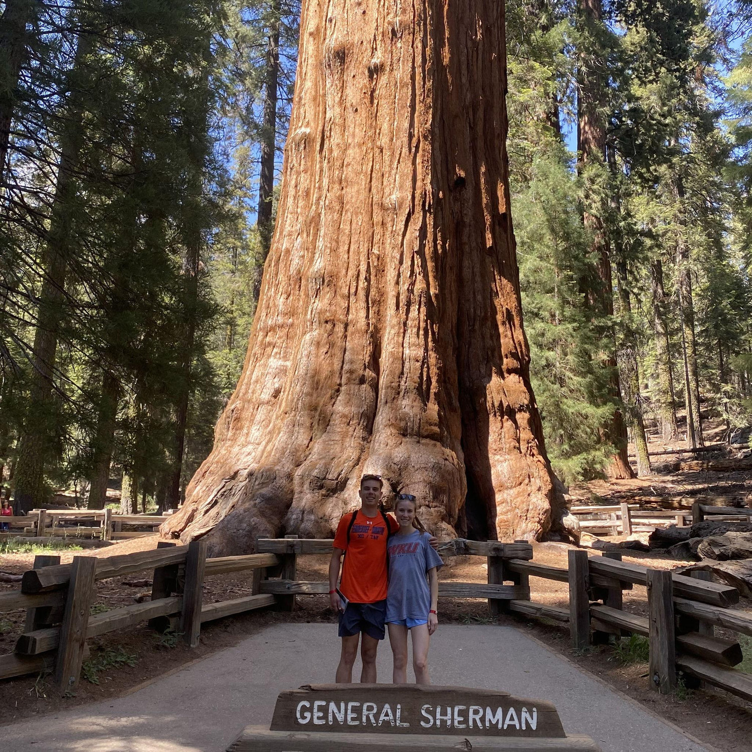 Summer 2022: Sequoia National Park!