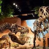 Mountain America Museum of Ancient Life at Thanksgiving Point