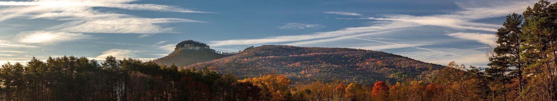 The Wedding Website of Sylena Rose and Peter Michael