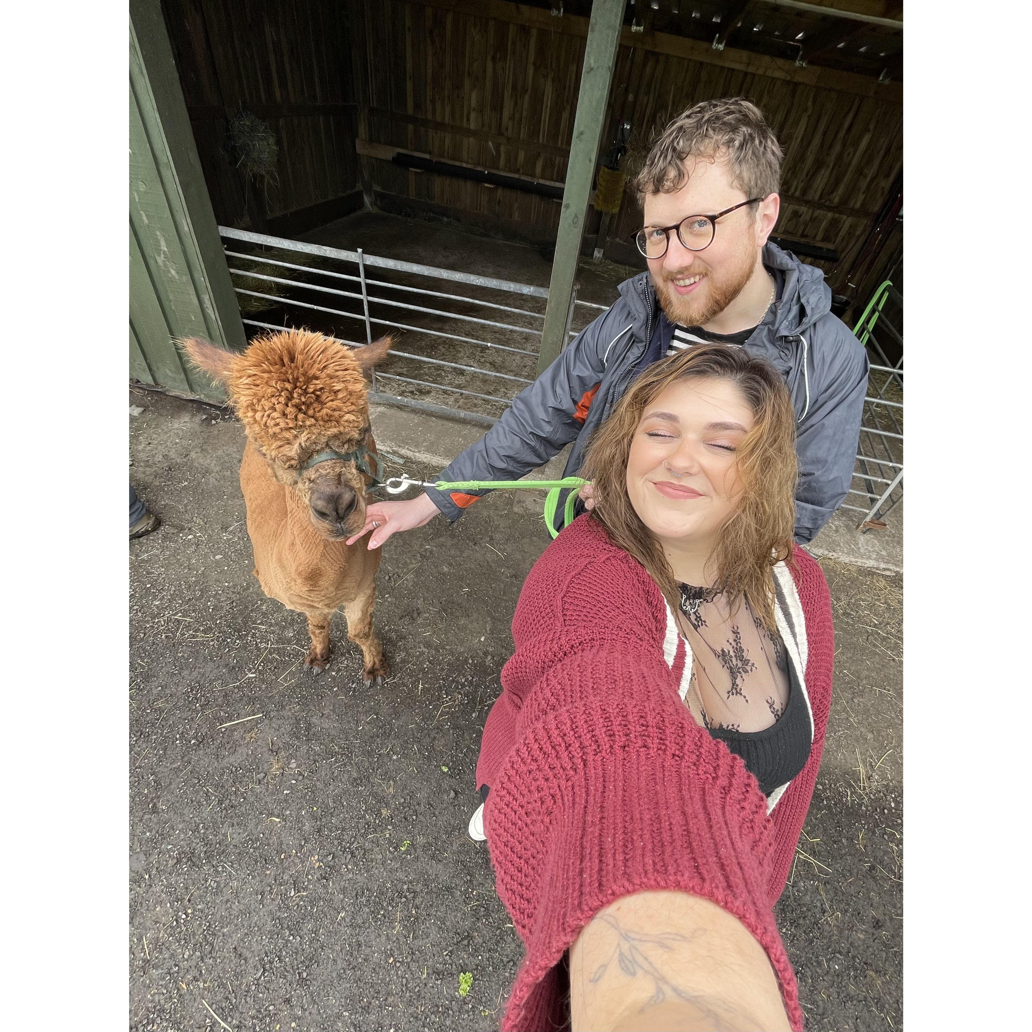 one big happy family <3
