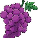 Cooper’s Hawk Winery & Restaurant