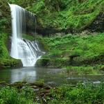 Silver Falls State Park