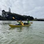Kayak with the Sea Otters and Seals at Elkhorn Slough
