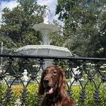 Forsyth Park