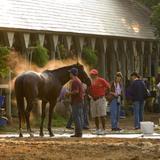 Breakfast & Backstretch Tour