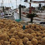 Tarpon Springs Sponge Docks