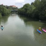 Paddle boarding on the Neckar River
