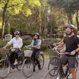 Taco Bike Tour