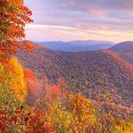 Shenandoah Valley Hop