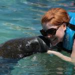 Dolphin Discovery Cancun - Isla Mujeres