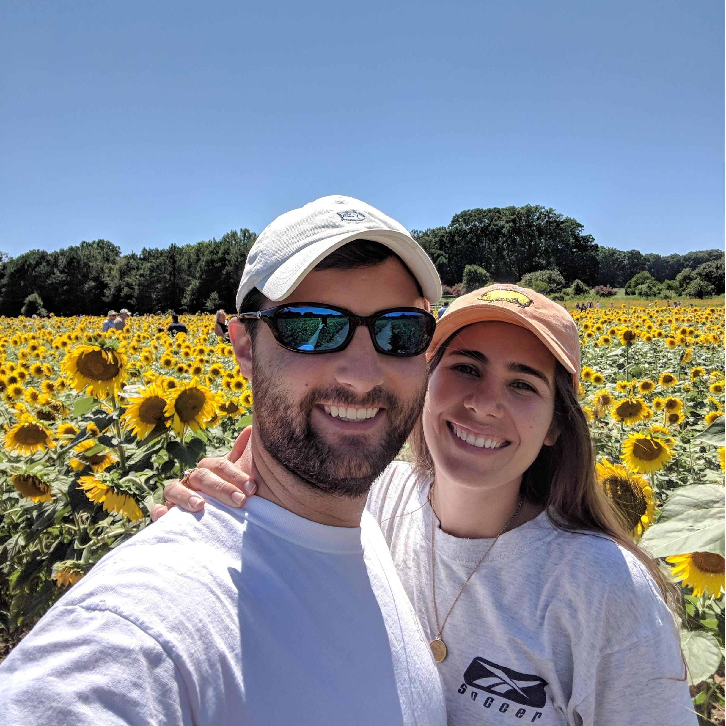 One of my favorite things in Raleigh, the sunflower fields at Dorothea Dix Park