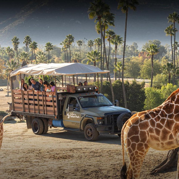 San Diego Safari Tour