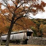 Hiking: Beaver Kill Valley Inn