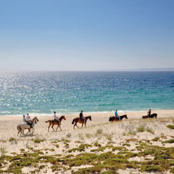 Honeymoon Horseback Riding Tour