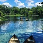 Wekiva Springs