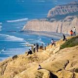 Torrey Pines State Beach